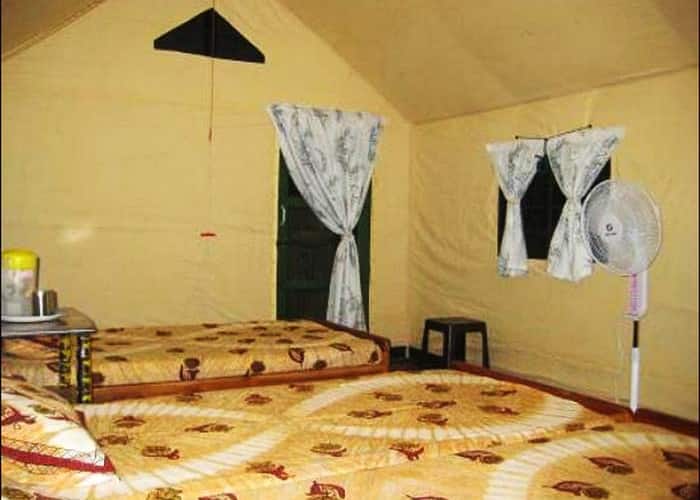 Green Wood Nature Camp, Ooty 1